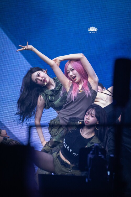 SC 1878314420822020196 3948906dd699f3249