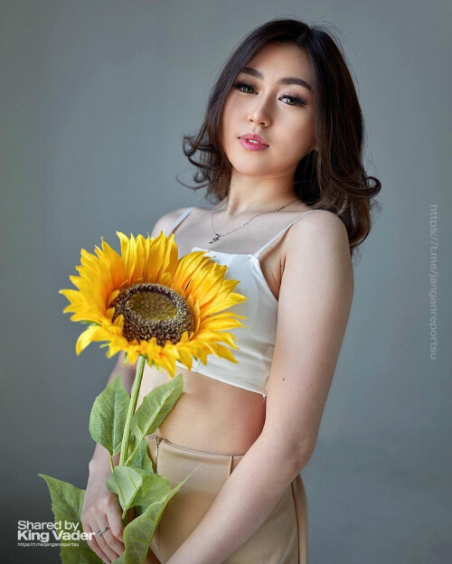 SET3 4d0334034ee0beb3e