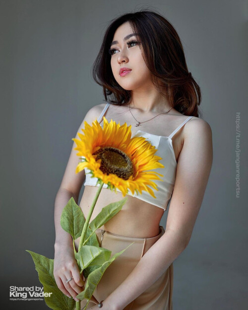 SET3 6dfe813b66df4132e