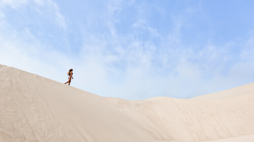 SOFIA-3205bb415a0f631bf5