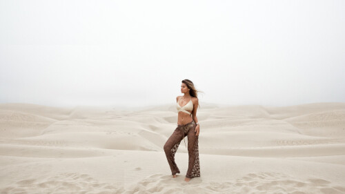 SOFIA-388d398ad05bc9dc96