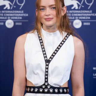 SS-22ee4060d85bec6145