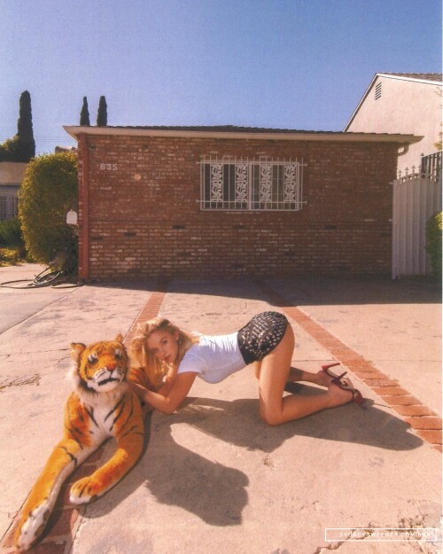 SSBR016c233b1021320f6b8