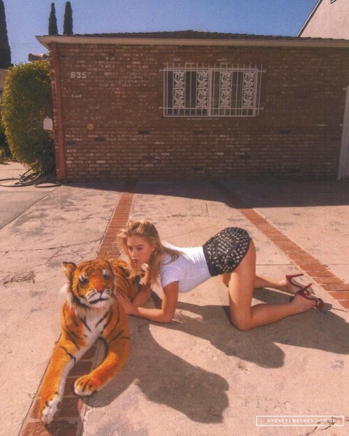 SSBR0186de4b4b2cedda402