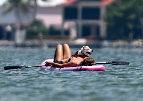 SSBR030a64807209dd5bbca