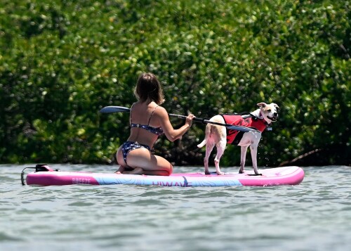 SSBR041ab3cda8b4775a486