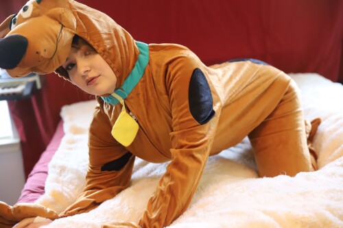 Scooby Doo 2143f5fc297b2b7137