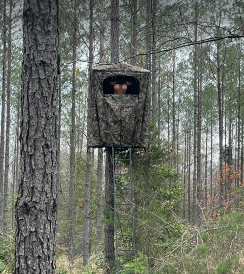 Screen Shot 2022 11 27 at 10.05.11 AM