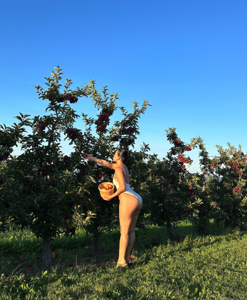 Screen-Shot-2023-09-25-at-11.15.56-AMfbd2aba9c69b9018