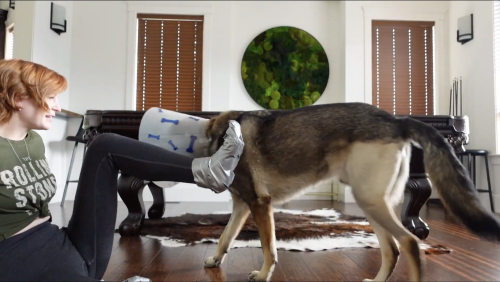 Screenshot-2023-08-29-at-10.02.36-PMb3d587db99874a3c