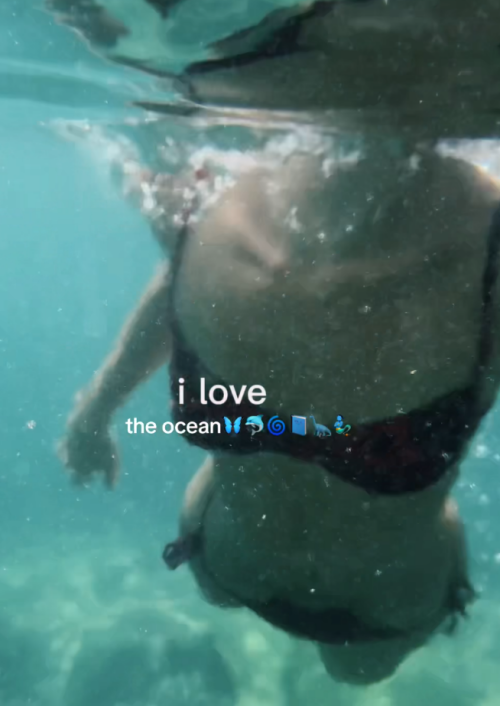 Screenshot-2024-12-08-144331d6a5718d1f06632b