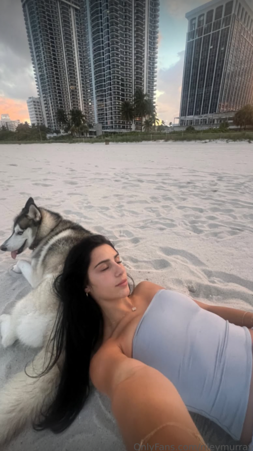 Screenshot-2025-04-05-14384116ffbfe03147a05c