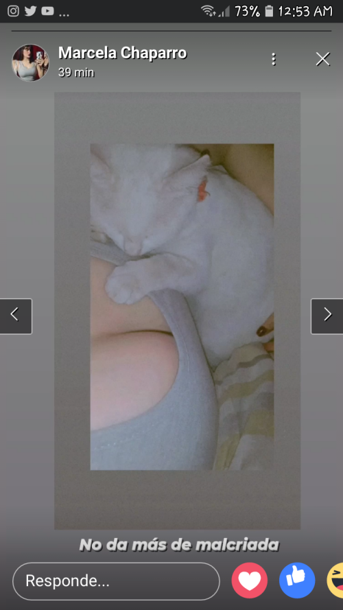 Screenshot_20211009-005309