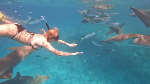 Screenshot 20220222 024335 com.google.android.youtube edit 1390024426824876