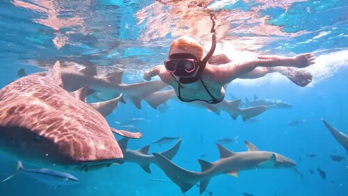 Screenshot 20220222 024418 com.google.android.youtube edit 1390030020671230