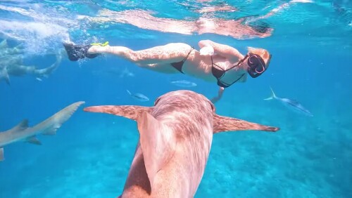 Screenshot 20220222 024428 com.google.android.youtube edit 1390038896597791