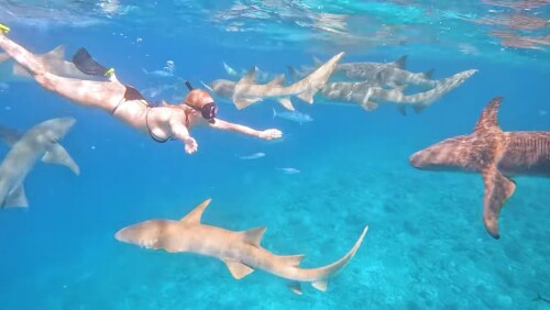 Screenshot 20220222 024451 com.google.android.youtube edit 1390046148540498