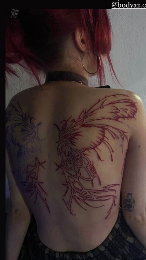 Screenshot 20220322 214340 Instagramaa3a7e55bc1f0767