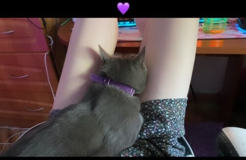 Screenshot 20220610 143701 Instagramd485a76341b2941f