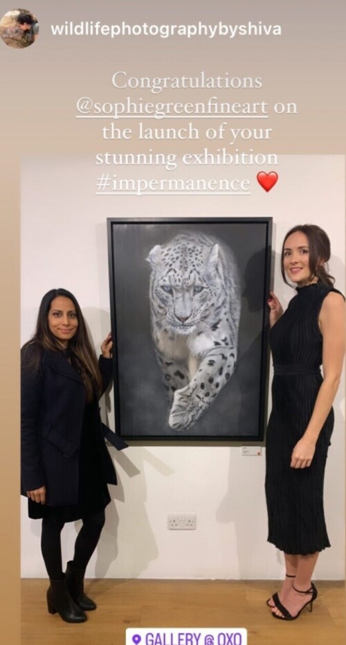 Screenshot 20221102 042926 Instagrame6b4e36354b167d2