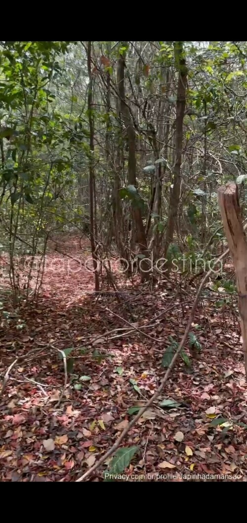 Screenshot 20230201 005856 Gallery