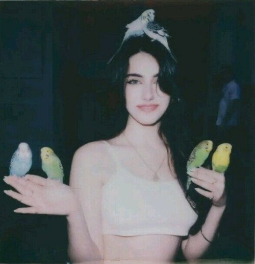 Screenshot 20230531 061427 TikTok