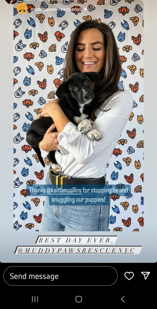 Screenshot 20240319 151411 Instagramc03ce9e4c4502891