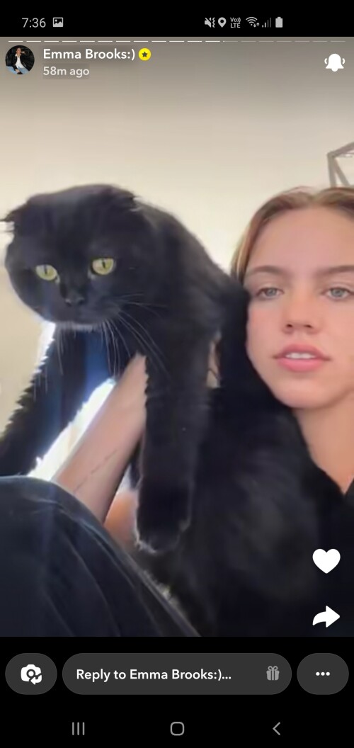 Screenshot 20240726 073624 Snapchat059fa8c0020f1f26