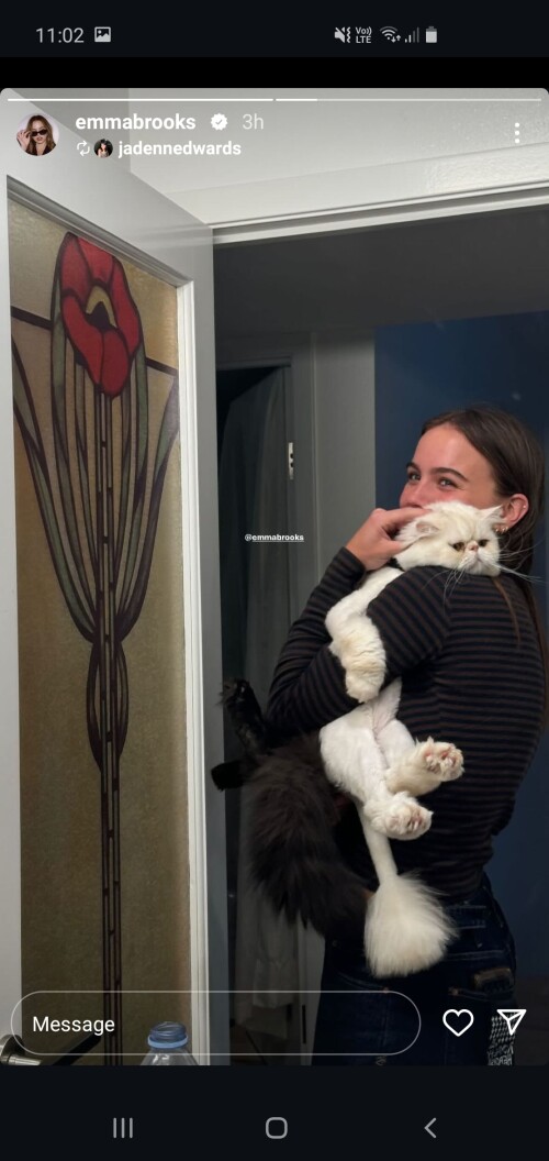 Screenshot 20240830 110218 Instagram305ed6db425bb182