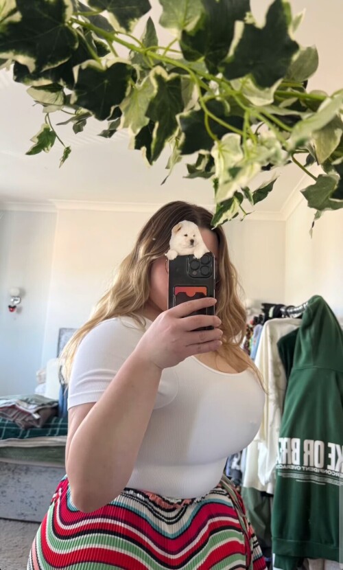 Screenshot 20250407 204238 Galleryc0638fd3e0c9d050