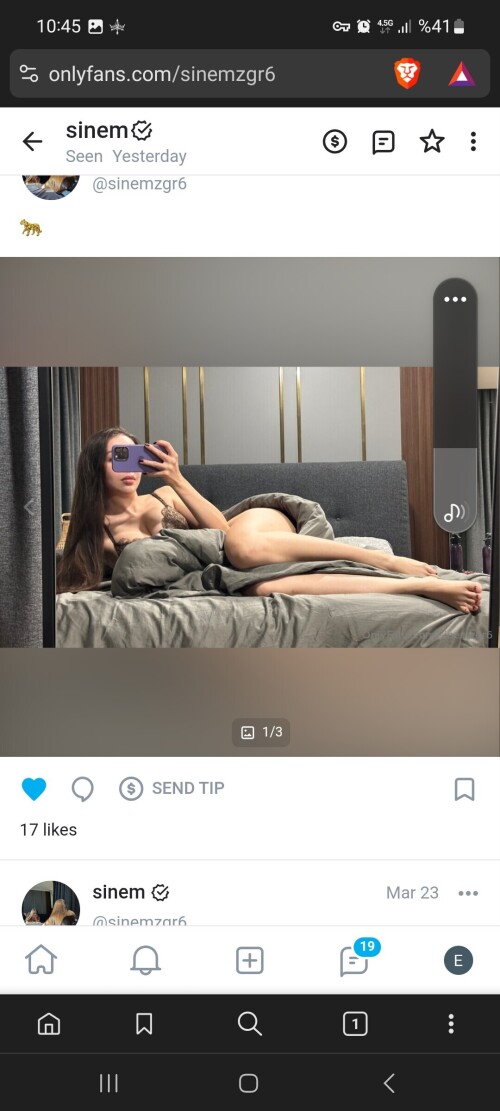 Screenshot 20250410 104544 Braveb5edd1592554c84f