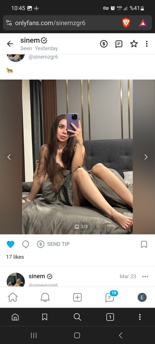 Screenshot 20250410 104547 Brave2ddea111329685f4