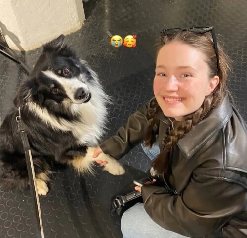 Screenshot 20251021 0026110cc4145d9e820a2d