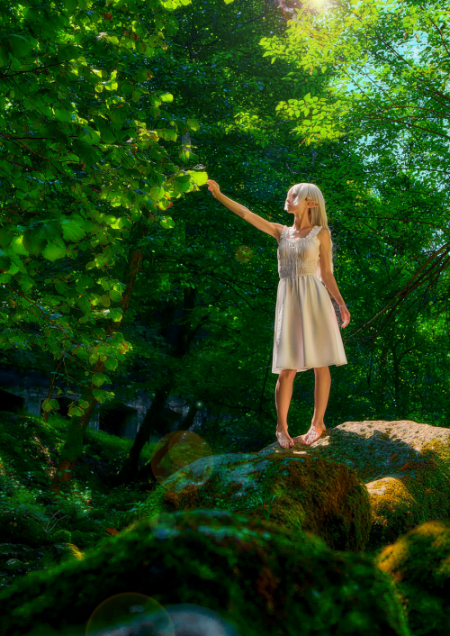 Screenshot_3362e92238ef6f19fc