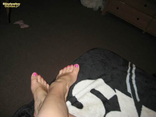 September Carrino diary 2008 11 15 010