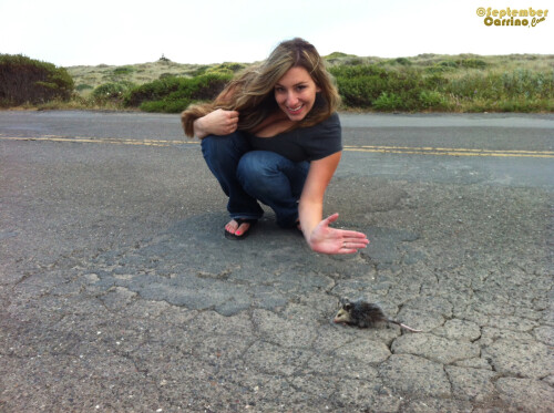 September Carrino diary entry 2013 08 14 009