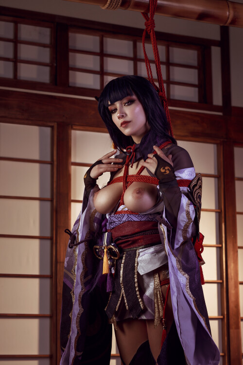Shogun Raiden 9907643b900d5221f