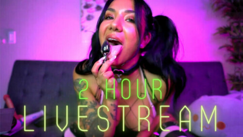 Sloansmoans My Very First Livestreamddebb8af2938d80b