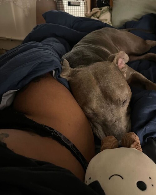 SnapVideo.app 491441796 18496409446061162 7788133594983033687 n0cecf3d6afe07ffe