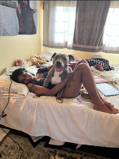 SnapVideo.app 557653538 18527693152061162 1496076408567175951 n31f71a420efbbafe