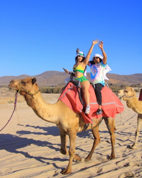 Snapins.ai 488204161 17891435520215665 2687425492788105903 n 1080ea8683e2351b4751