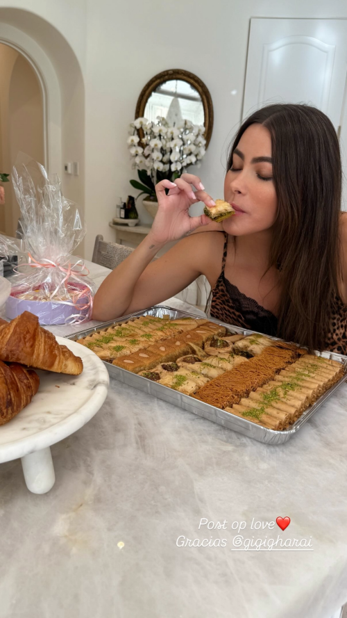 Snapshot-25-07-2025-1912fb9e66ded83265fe