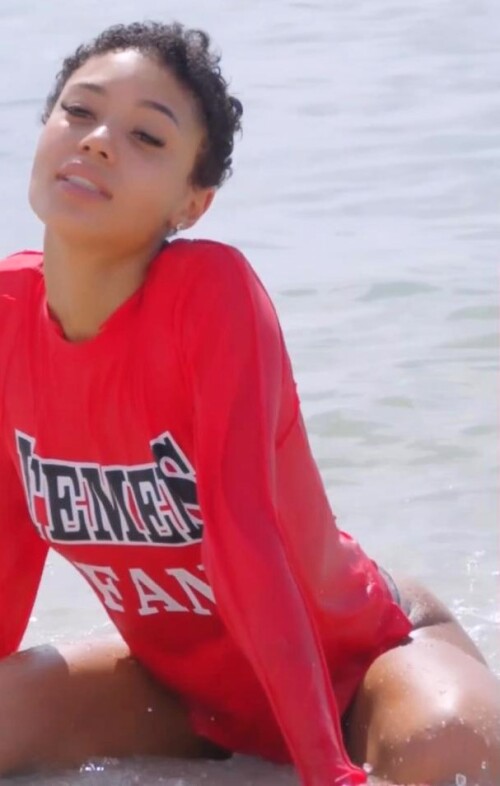 Snapshot868d441e02f84a66