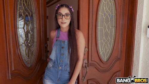 Snapshot 202403191329464763b8b3ba62257db0d