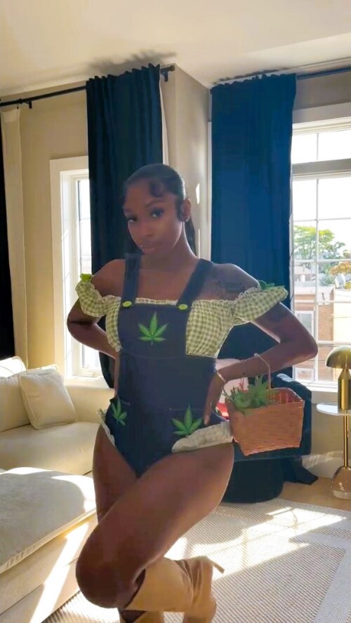 Snapshot 3772115258fad58b4ec1a62