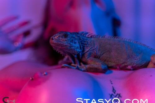 StasyQ 461 image 5e346735ffbccb7f9