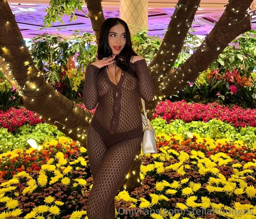 Stella Hudgens 20231216 000477d97a5ffa6e3066.50abc3f11dbebc89