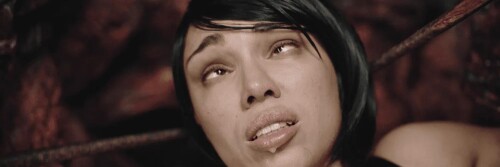 Still023 1500x50054929aa10bb1256b