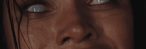 Still026 1500x500f0149dee4e78a05c