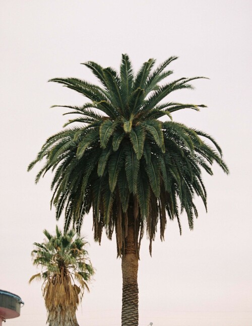 Summer Lynn Hart Annual Exclusive 1 01